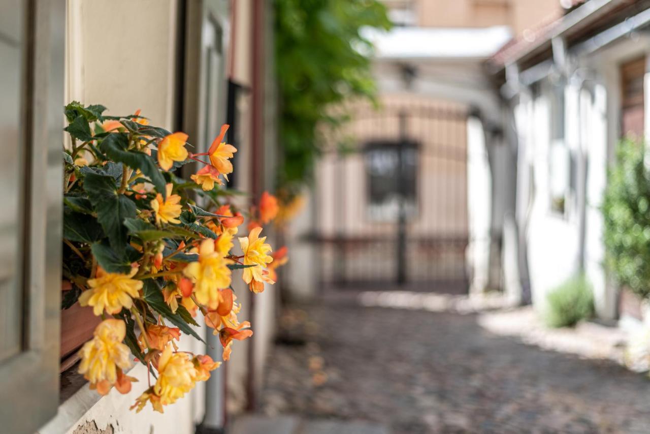 Apartament Sun Lighted Cathedral Square Studio Wilno Zewnętrze zdjęcie