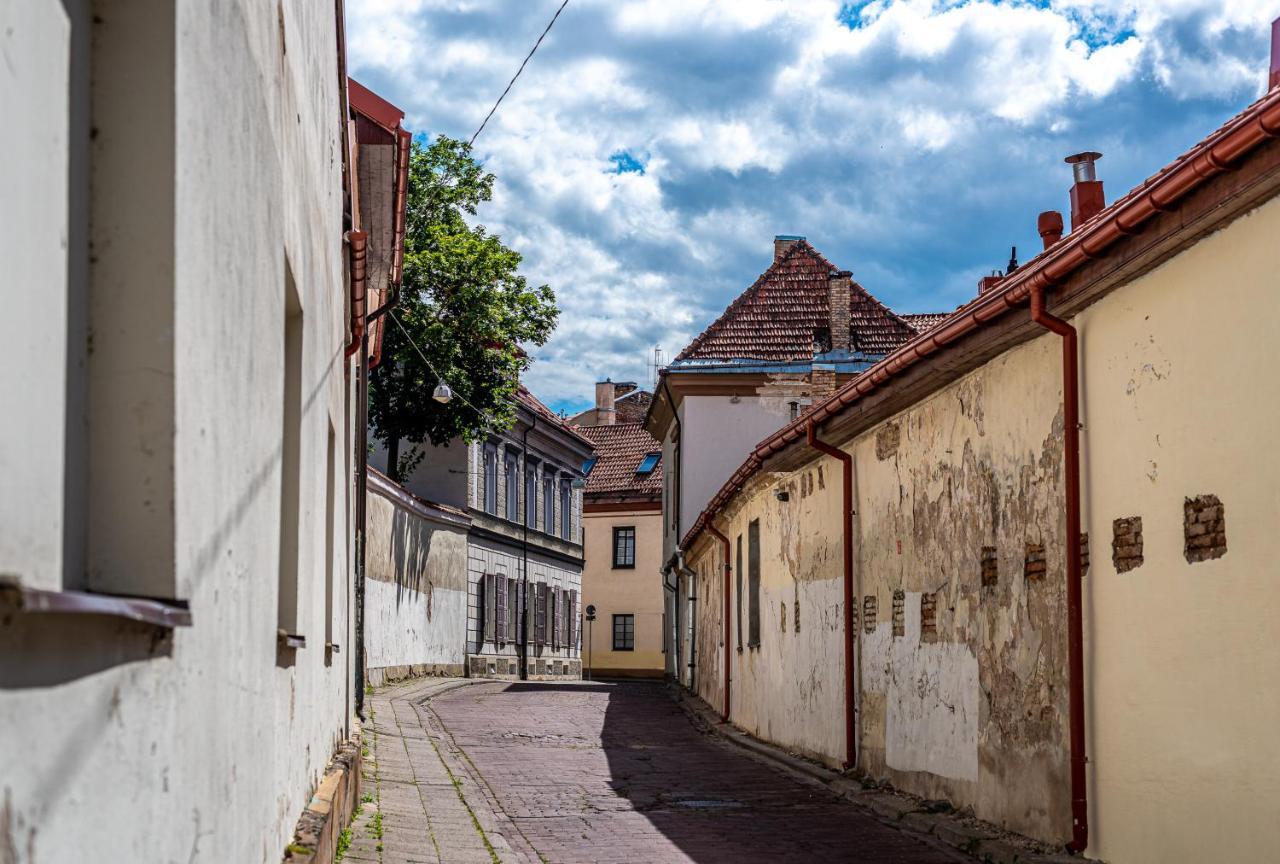 Apartament Sun Lighted Cathedral Square Studio Wilno Zewnętrze zdjęcie