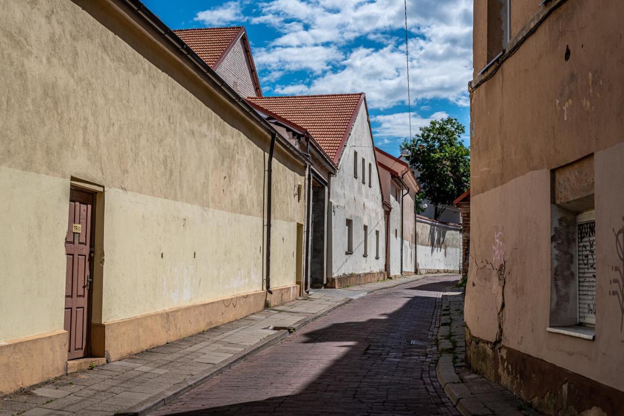 Apartament Sun Lighted Cathedral Square Studio Wilno Zewnętrze zdjęcie
